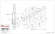 Coppia Dischi Freno Brembo Sport TY 59E11584.jpg